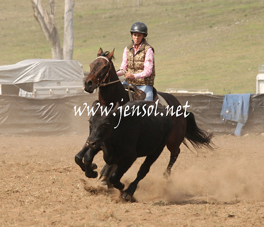 CabanandraCampdraft2013_1D_0531