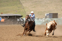 CabanandraCampdraft2013_1D_0569