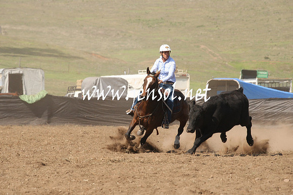 CabanandraCampdraft2013_1D_0755