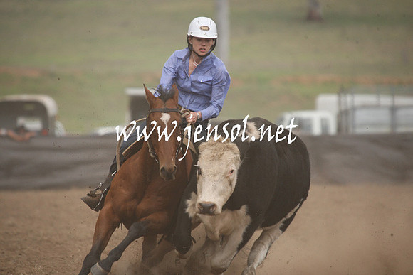CabanandraCampdraft2013_1D_0868