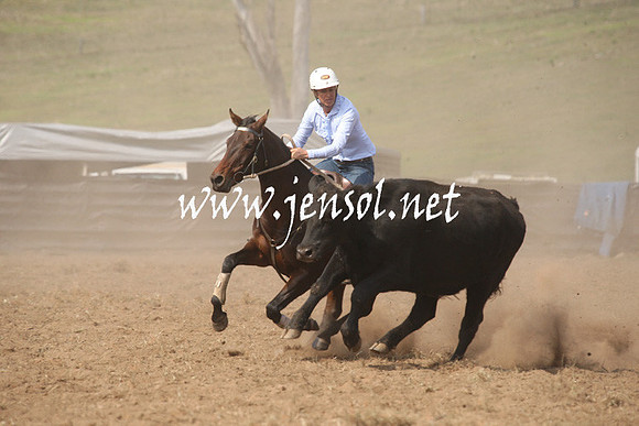 CabanandraCampdraft2013_1D_0632