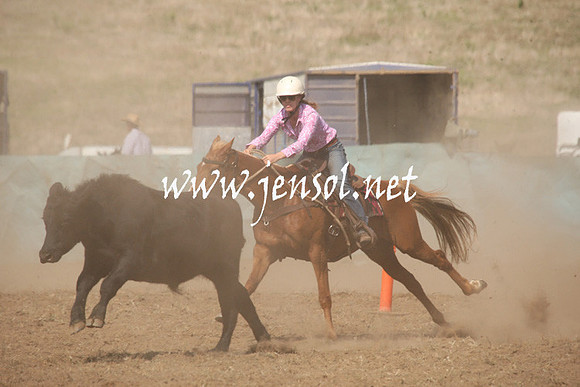 CabanandraCampdraft2013_1D_0717