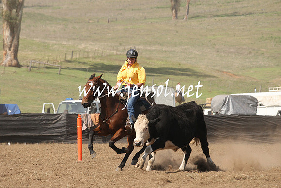 CabanandraCampdraft2013_1D_0739