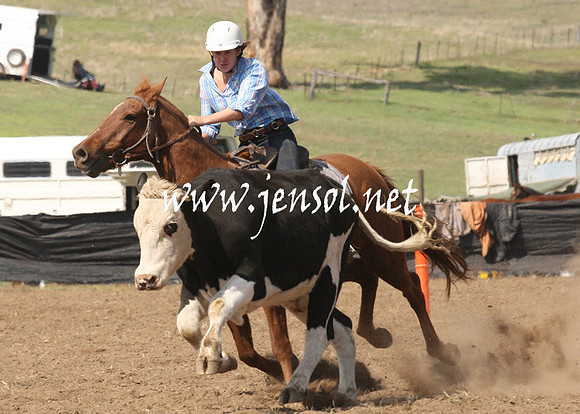 CabanandraCampdraft2013_1D_0783