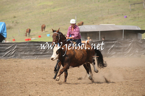 CabanandraCampdraft2013_1D_0603