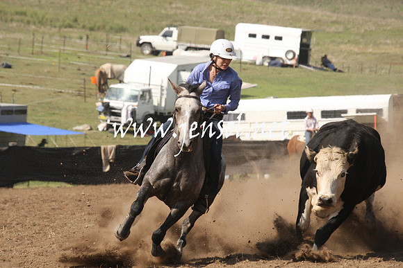 CabanandraCampdraft2013_1D_0705