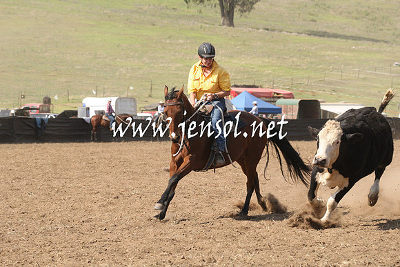 CabanandraCampdraft2013_1D_0744