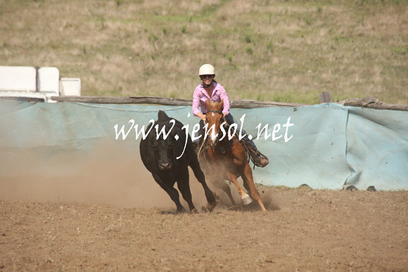 CabanandraCampdraft2013_1D_0718