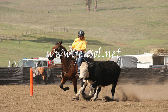 CabanandraCampdraft2013_1D_0738