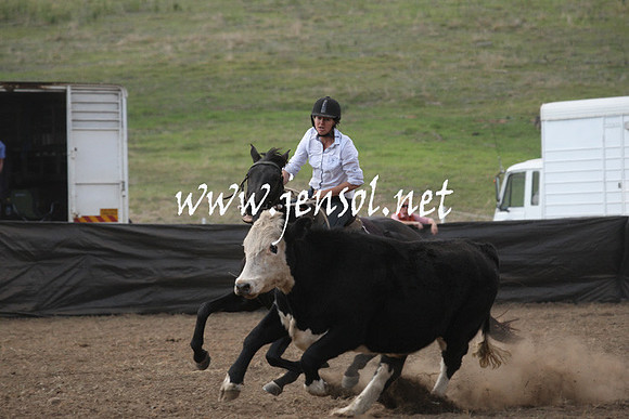 CabanandraCampdraft2013_1D_0797