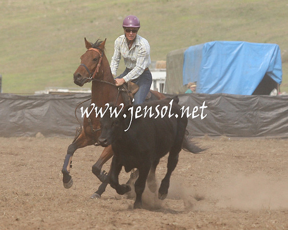 CabanandraCampdraft2013_1D_0836