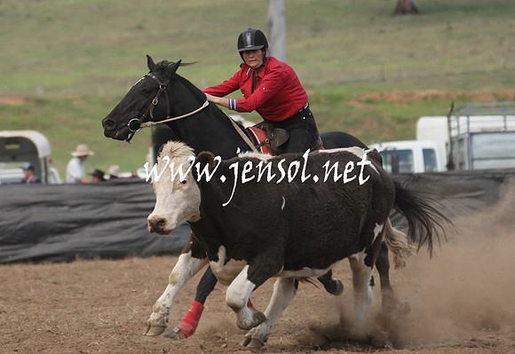 CabanandraCampdraft2013_1D_0819