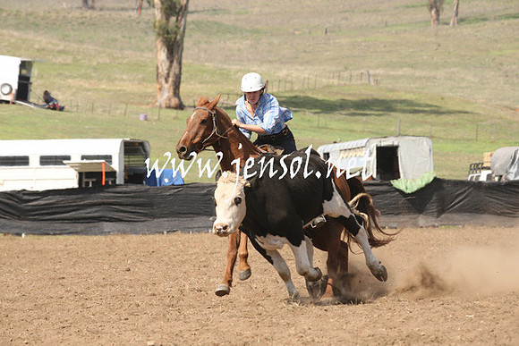 CabanandraCampdraft2013_1D_0785