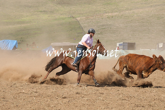 CabanandraCampdraft2013_1D_0649