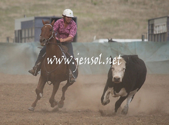 CabanandraCampdraft2013_1D_0848