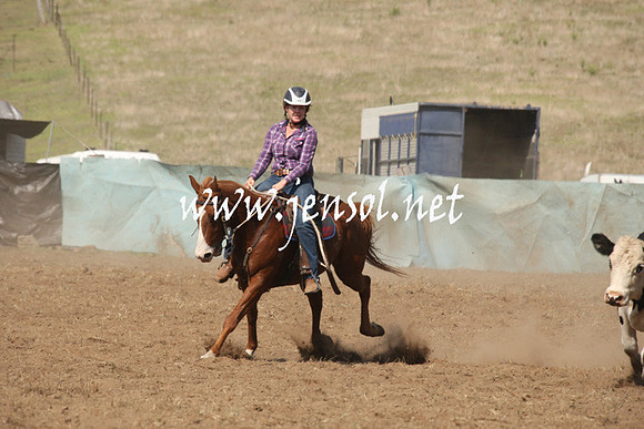 CabanandraCampdraft2013_1D_0713