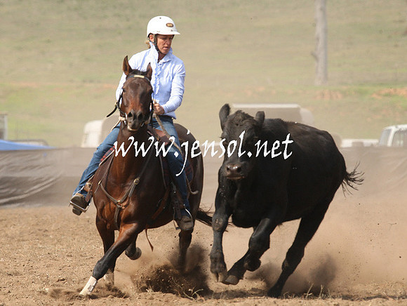 CabanandraCampdraft2013_1D_0634