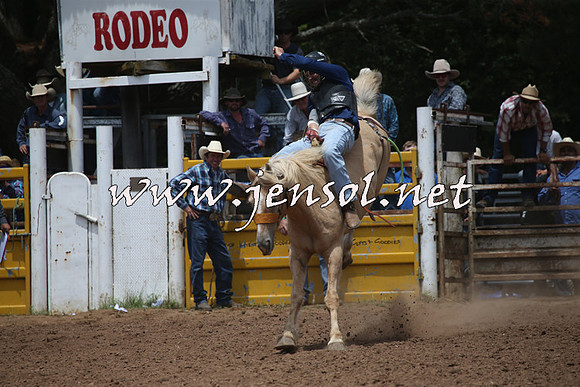 TaralgaRodeo2016_6418