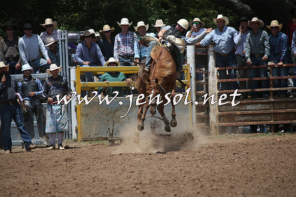 TaralgaRodeo2016_6490