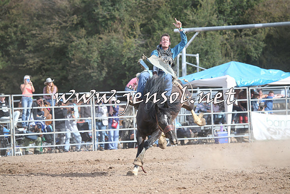 TaralgaRodeo2016_8479