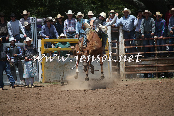TaralgaRodeo2016_6488