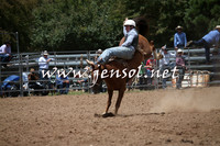 TaralgaRodeo2016_6243