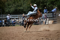 TaralgaRodeo2016_6242