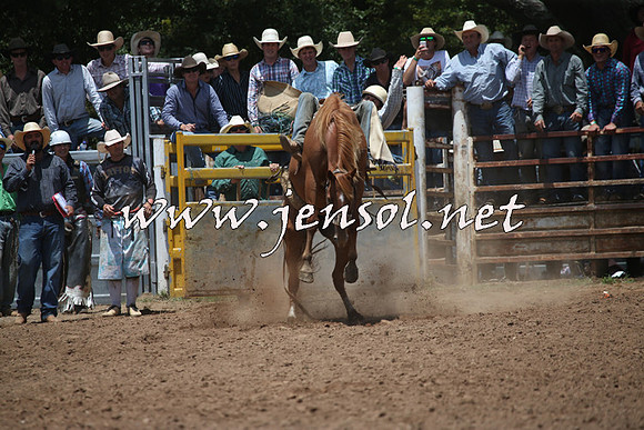 TaralgaRodeo2016_6481