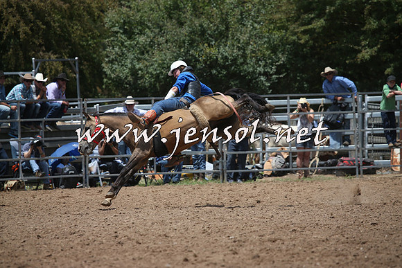 TaralgaRodeo2016_6379
