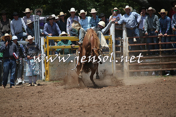 TaralgaRodeo2016_6477