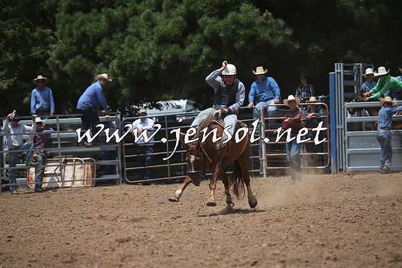 TaralgaRodeo2016_6223