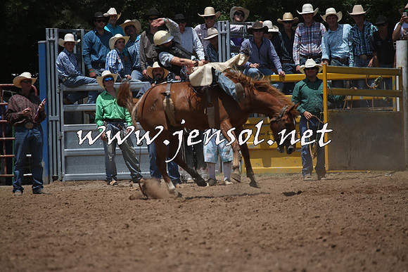 TaralgaRodeo2016_6505
