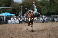 TaralgaRodeo2016_6255