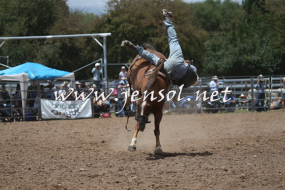 TaralgaRodeo2016_6255