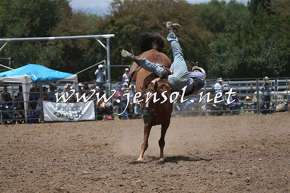 TaralgaRodeo2016_6256