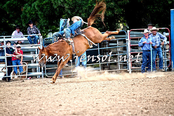 TaralgaRodeo2016_8418