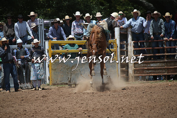TaralgaRodeo2016_6485