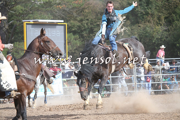 TaralgaRodeo2016_8506