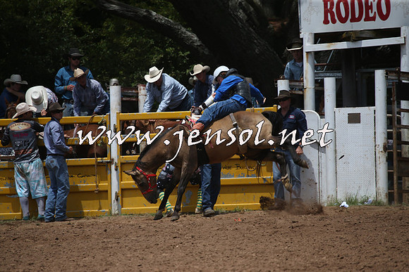 TaralgaRodeo2016_6356