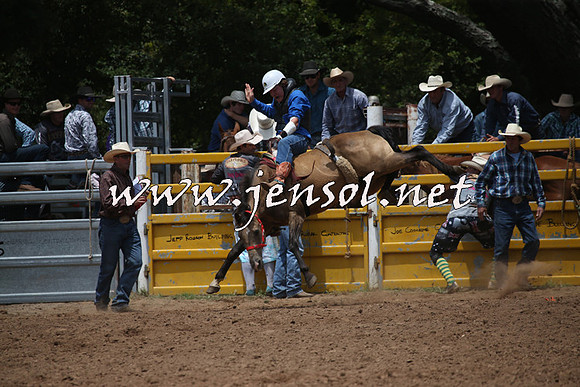 TaralgaRodeo2016_6350
