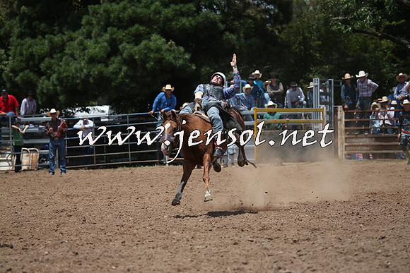 TaralgaRodeo2016_6442