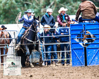 TumutRodeo2019_1180