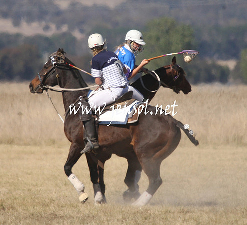 BungendorePolocrosse2013_Sun_1307