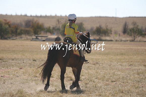 BungendorePolocrosse2013_Sun_1268