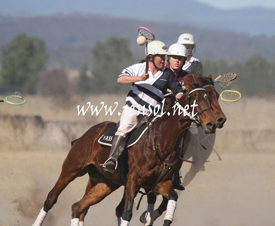 BungendorePolocrosse2013_Sun_1078
