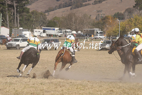 BungendorePolocrosse2013_Sun_1027