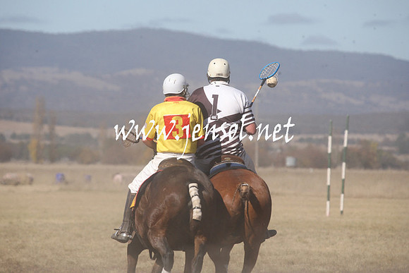 BungendorePolocrosse2013_Sun_1433