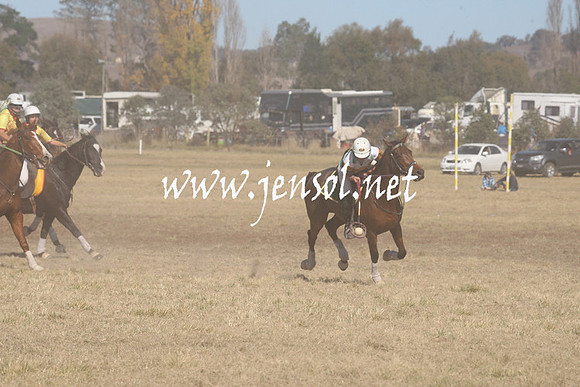 BungendorePolocrosse2013_Sun_1054