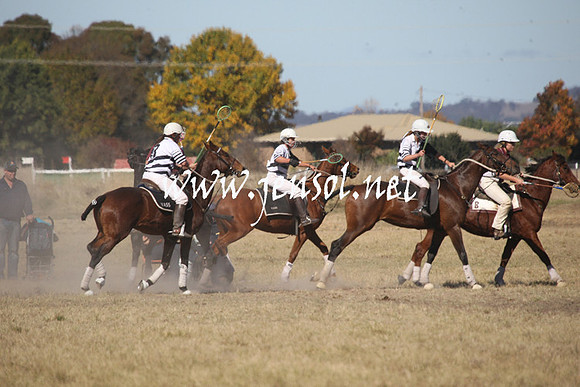 BungendorePolocrosse2013_Sun_1110