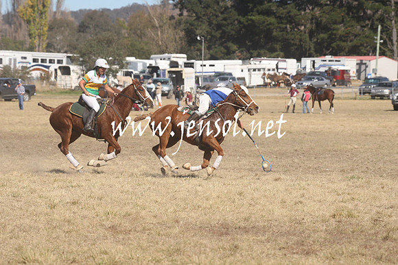 BungendorePolocrosse2013_Sun_1086